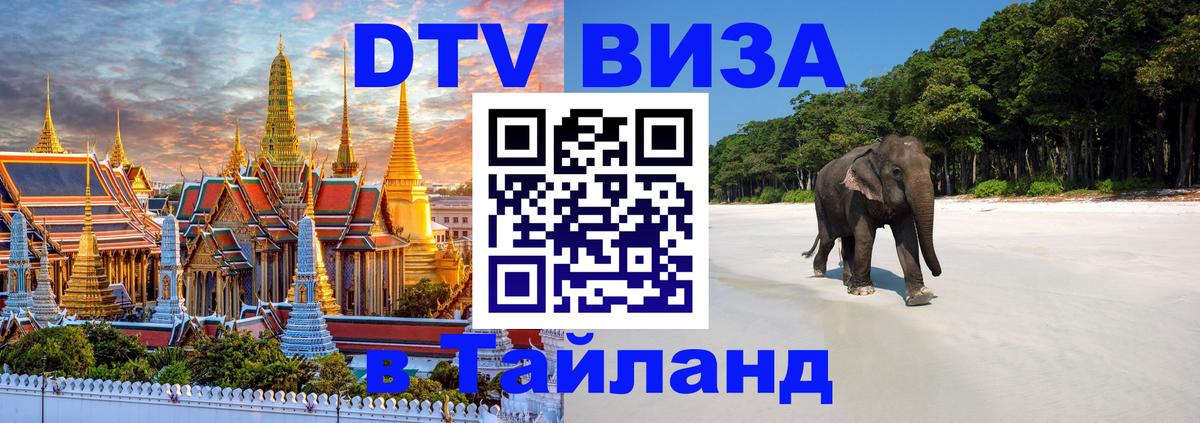 Оформление DTV визы под ключ: стоимость и тарифы, только загранпаспорт - Архангельск 